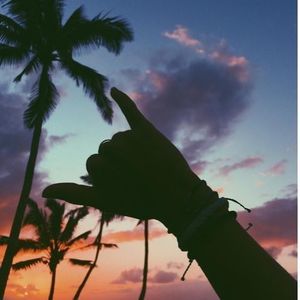 Meet your Posher, Kylee